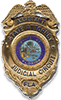 state-attorney-badge